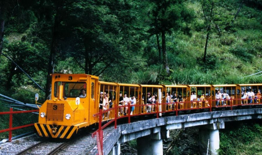 國家森林遊樂區、烏來台車與太平山蹦蹦車,共同推出優惠全國醫事人員專案